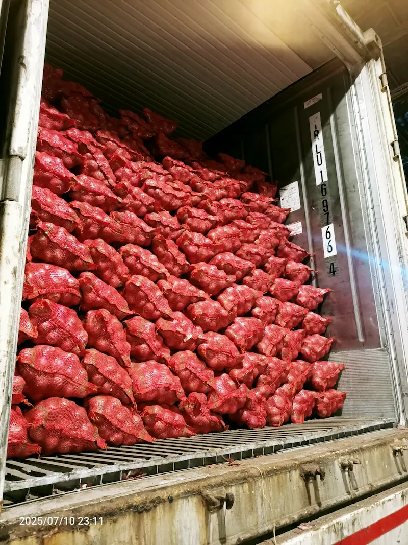 Mesh-bagged red onions stacked inside a 40-foot reefer container during export stuffing
