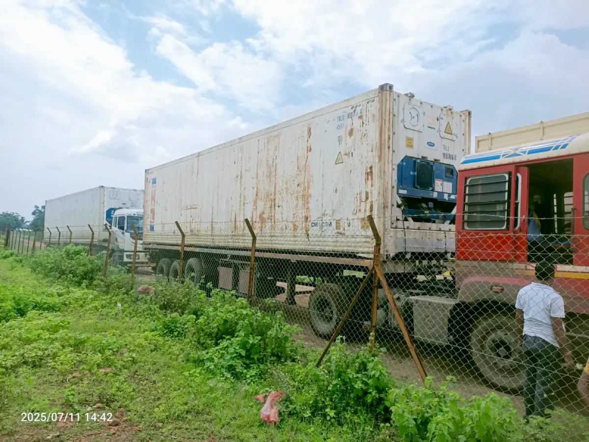 Export reefer containers on trailers staged in a yard behind a fence