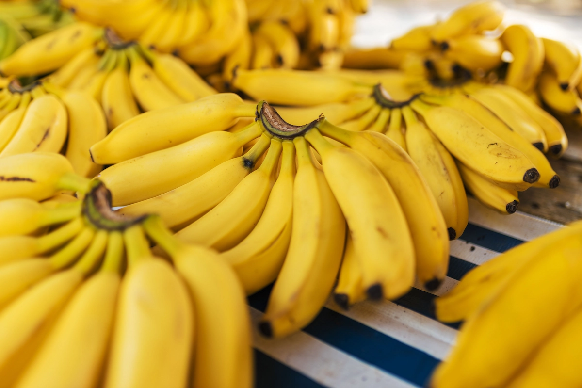 G9 Cavendish bananas