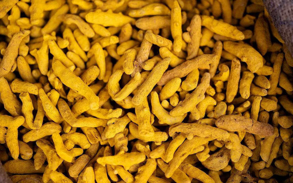 Turmeric fingers and powder